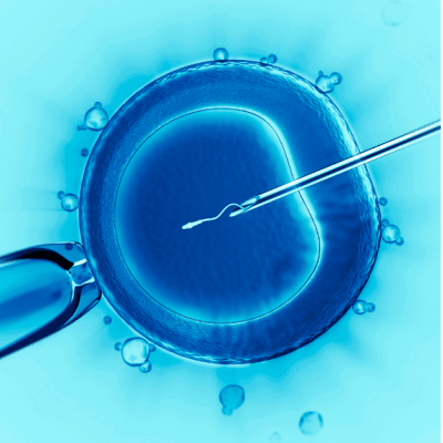 Fecundacion in vitro con donacion de ovulos