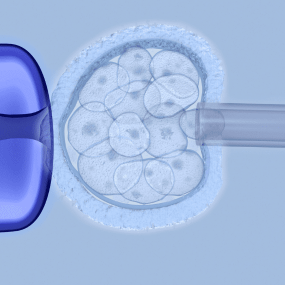 Fecundacion n vitro con donacion de ovulos